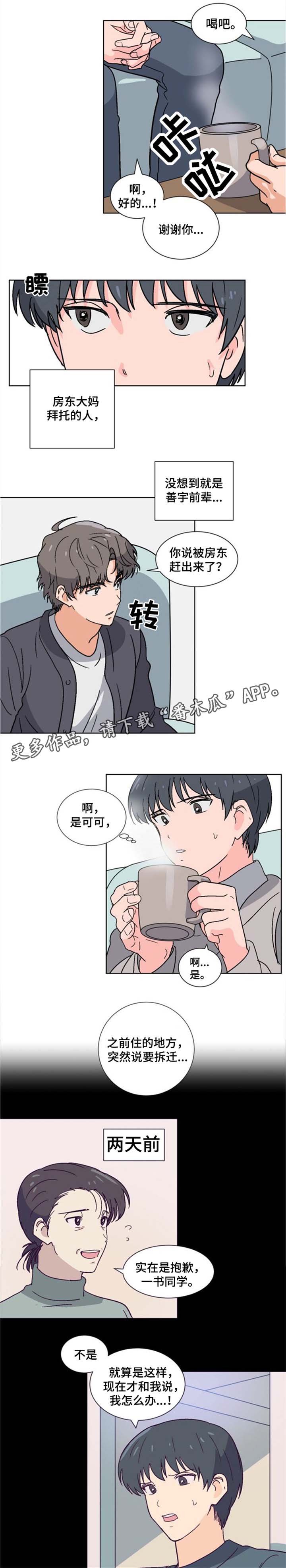 前辈的创业历程漫画,第7章：同居2图