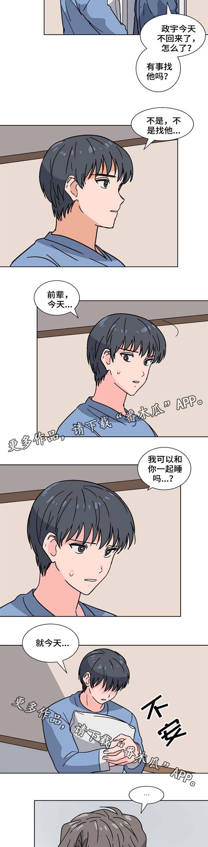 前辈的心意漫画,第31章：能不能一起睡1图