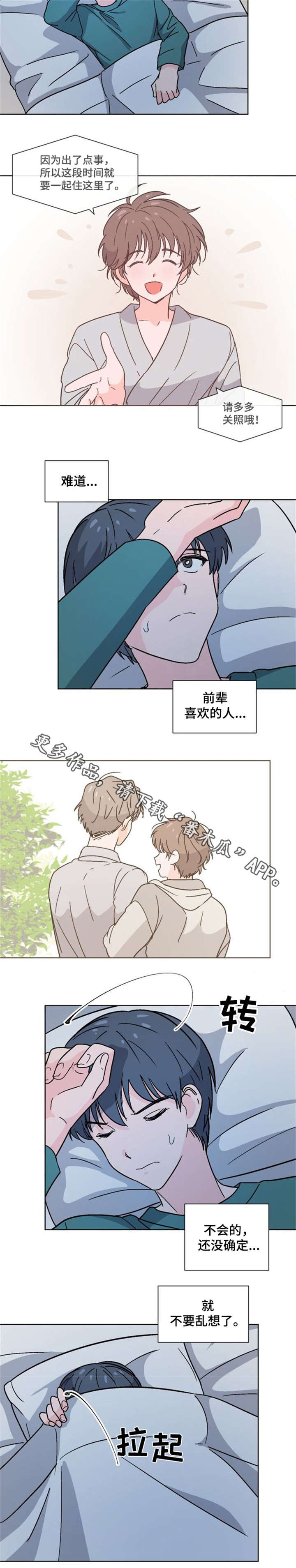 前辈的创业历程漫画,第20章：睡不着3图