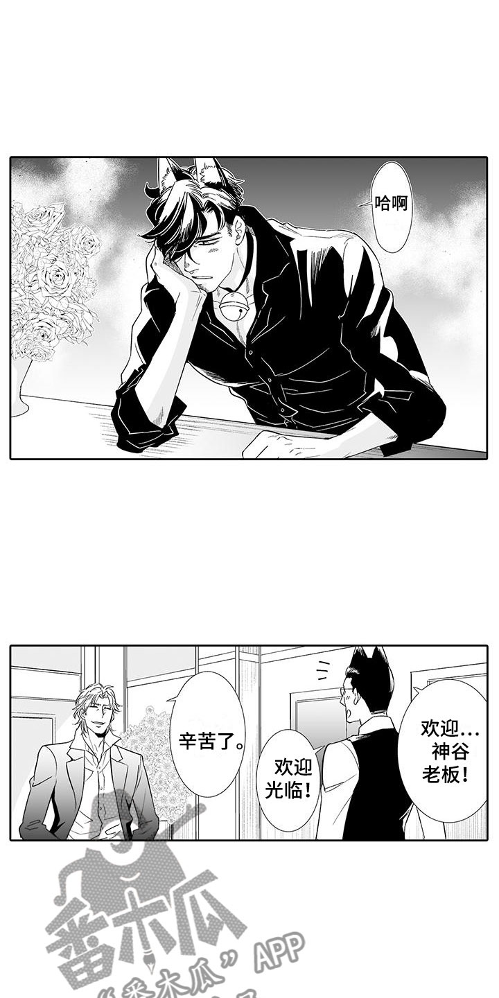 我的小奶猫漫画,第18章：背道而驰3图