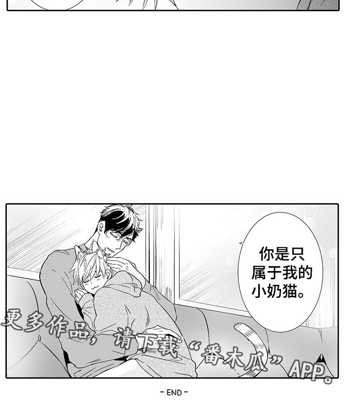 我的小奶猫漫画,第23章：只属于我4图