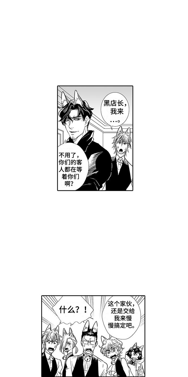 我的小奶猫漫画,第2章：猫咪咖啡屋5图