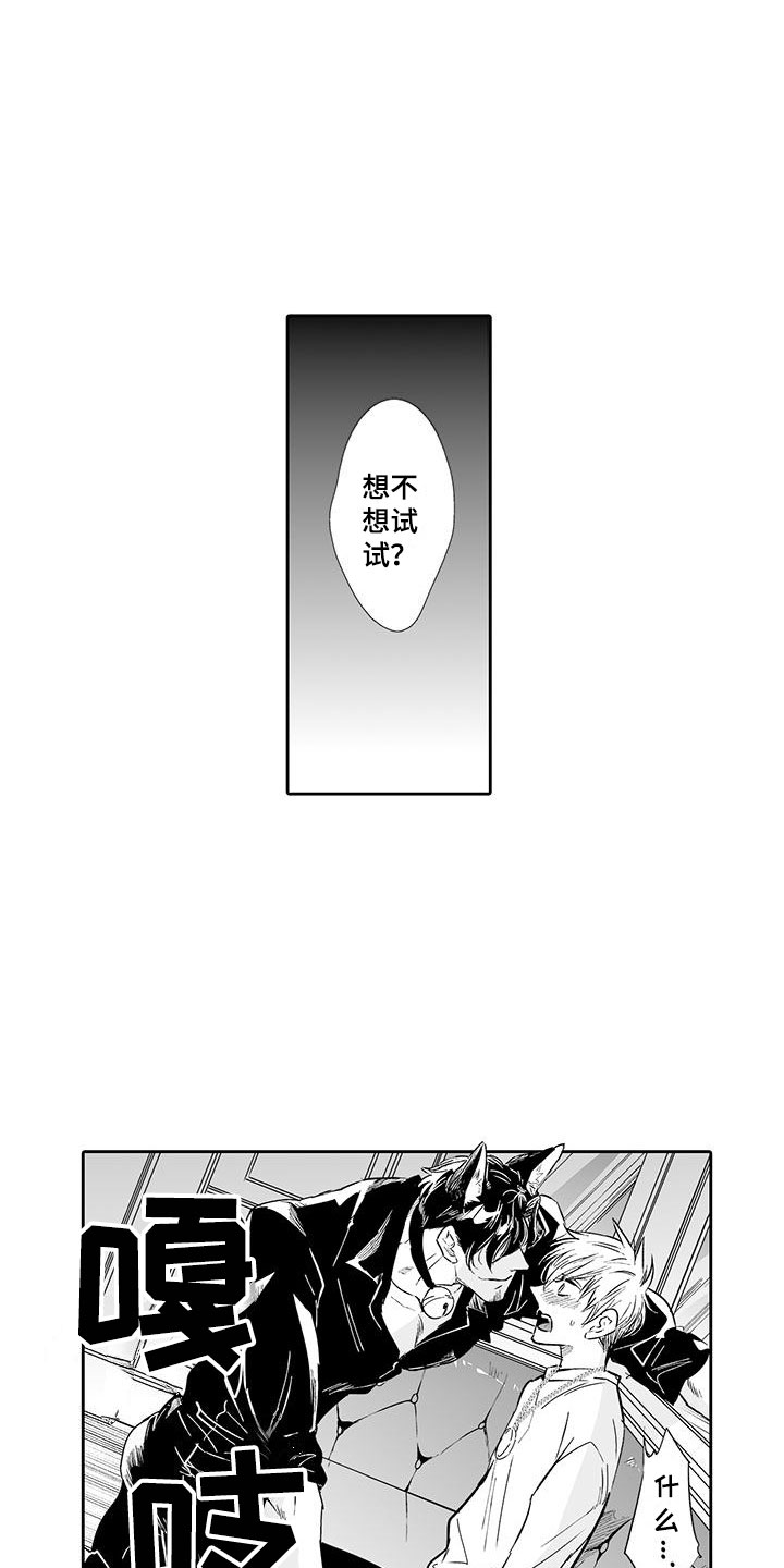 我的小奶猫漫画,第3章：来比比2图