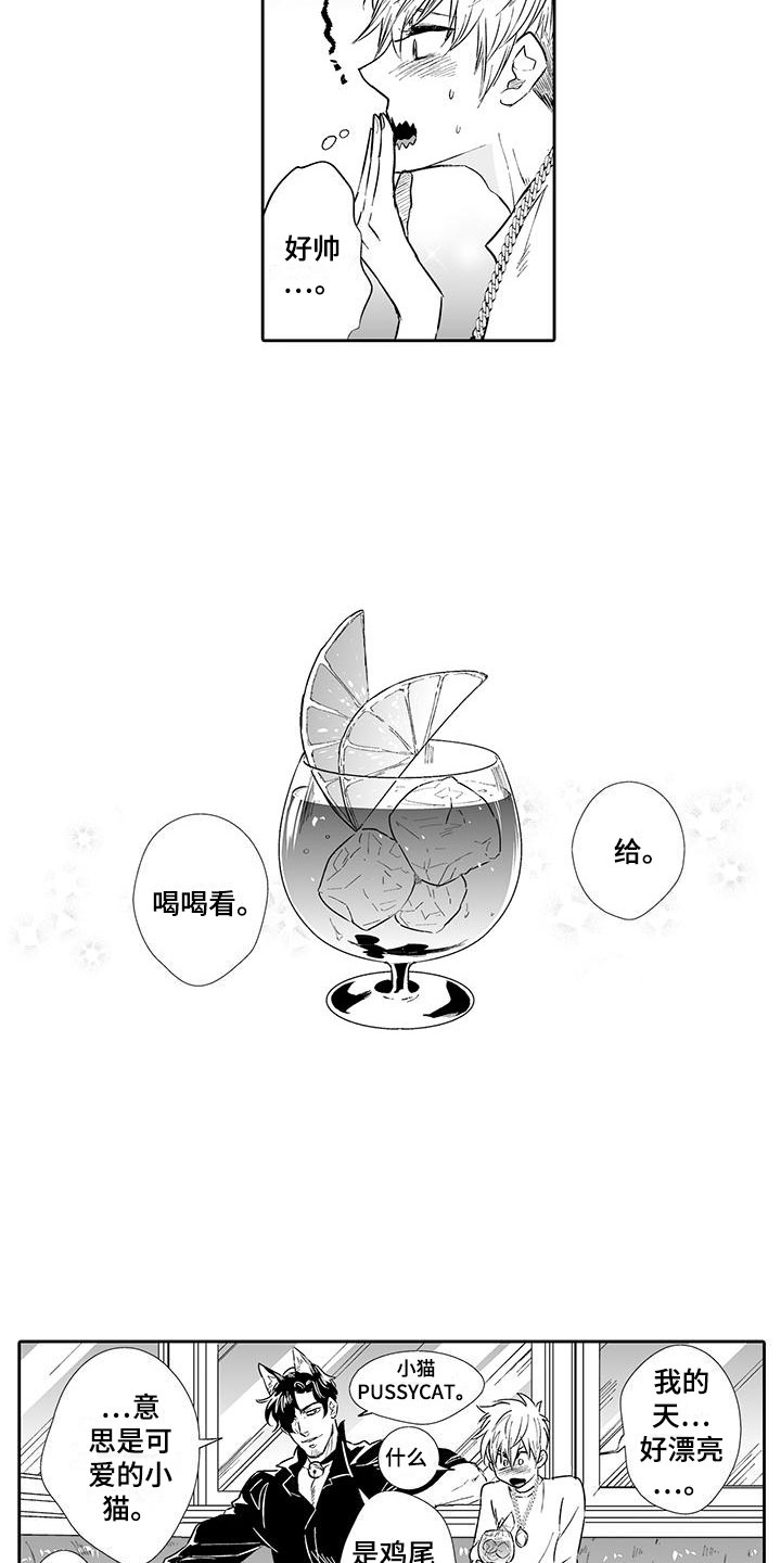 我的小奶猫漫画,第3章：来比比2图