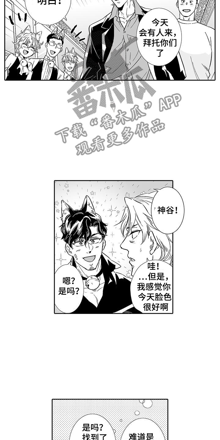 我的小奶猫漫画,第12章：想接待吗？4图