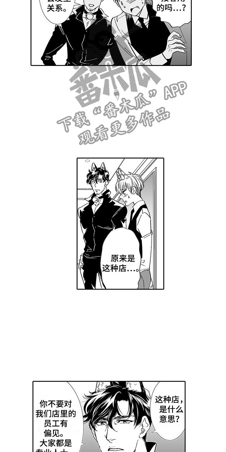 我的小奶猫漫画,第6章：奶酪猫2图