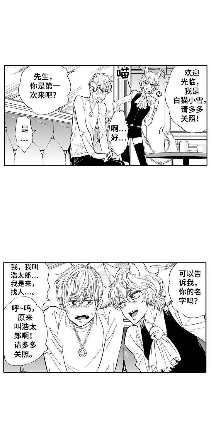 我的小奶猫漫画,第2章：猫咪咖啡屋4图