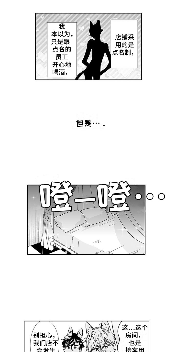我的小奶猫漫画,第6章：奶酪猫1图