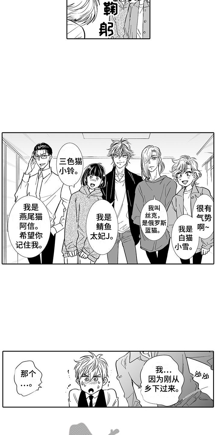 我的小奶猫漫画,第6章：奶酪猫1图