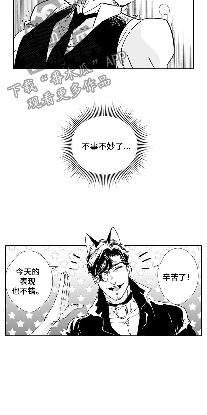 我的小奶猫漫画,第7章：营业表演1图