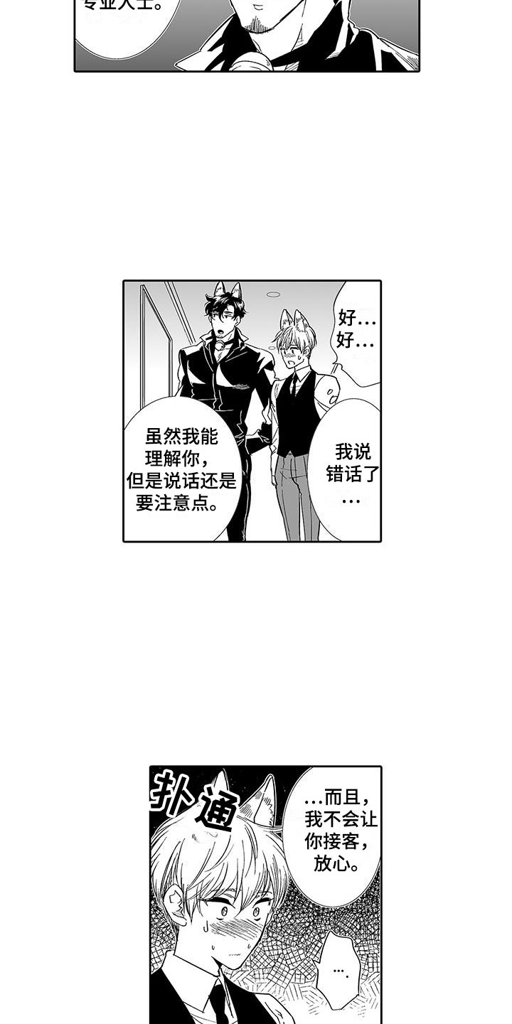我的小奶猫漫画,第6章：奶酪猫3图