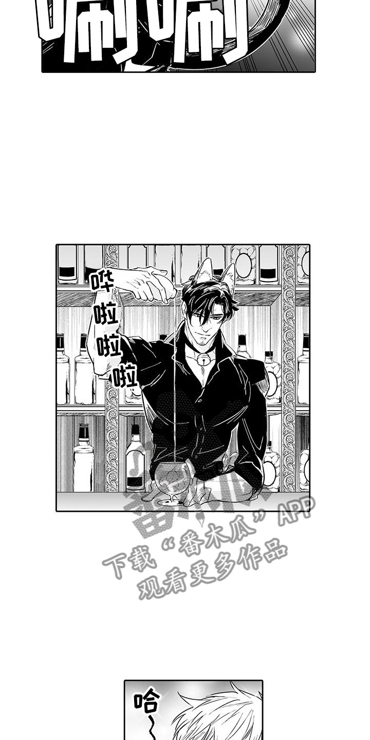 我的小奶猫漫画,第3章：来比比1图