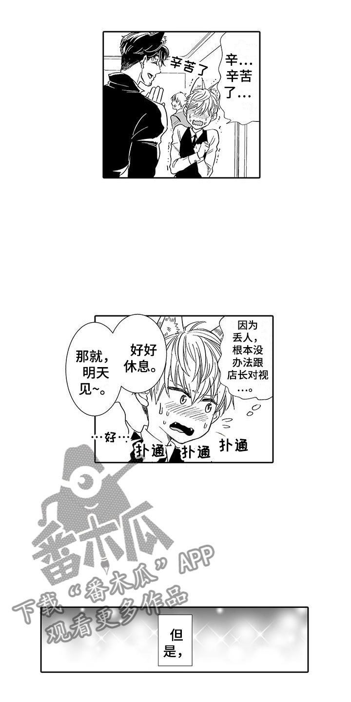 我的小奶猫漫画,第7章：营业表演2图