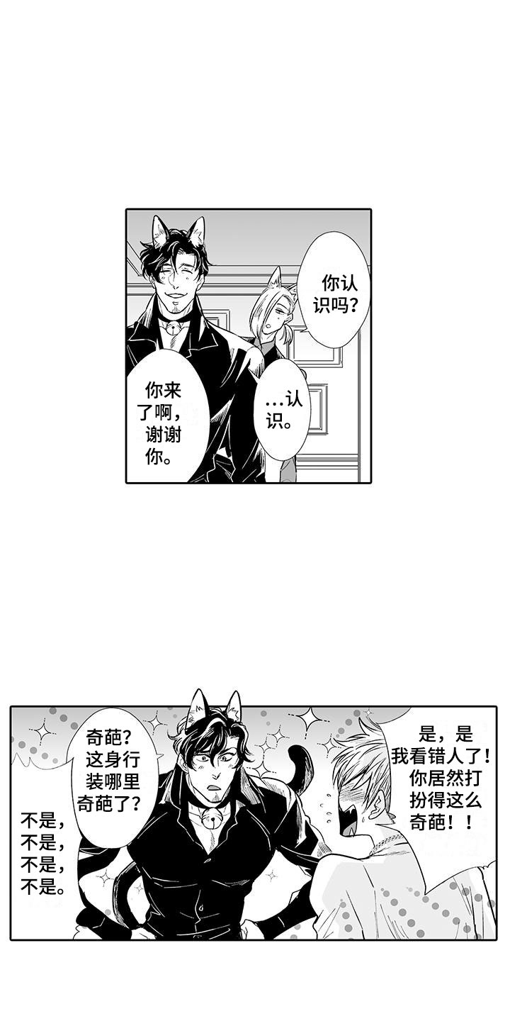 我的小奶猫漫画,第2章：猫咪咖啡屋3图