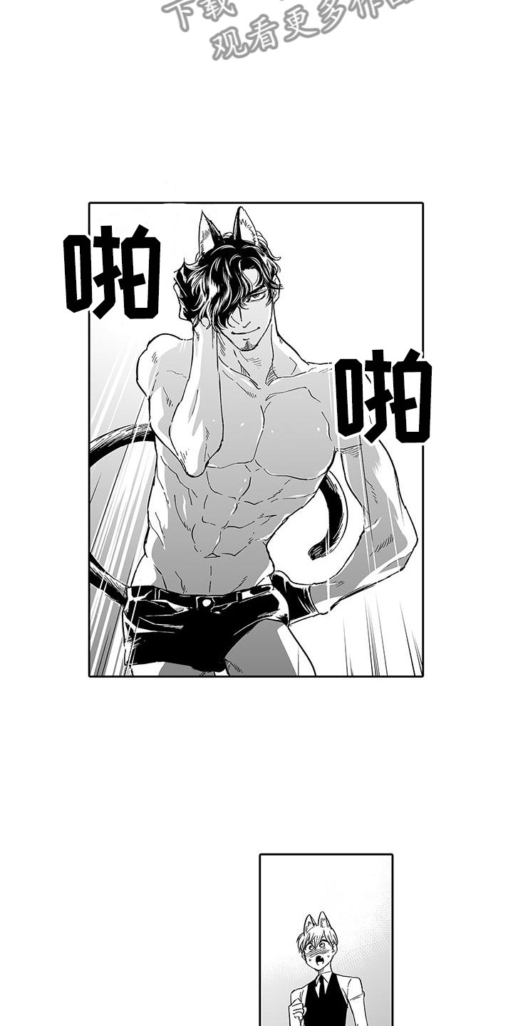 我的小奶猫漫画,第7章：营业表演3图