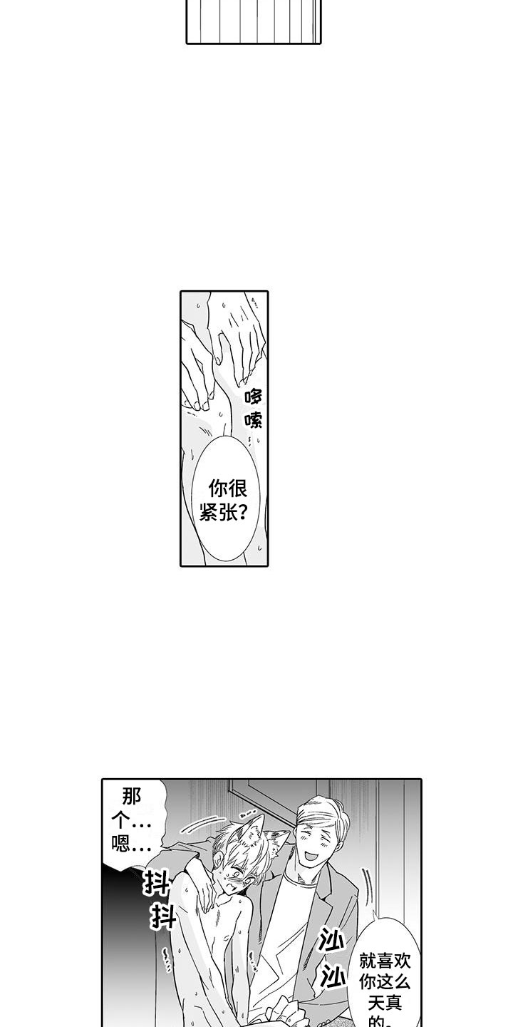 我的小奶猫漫画,第17章：指名1图