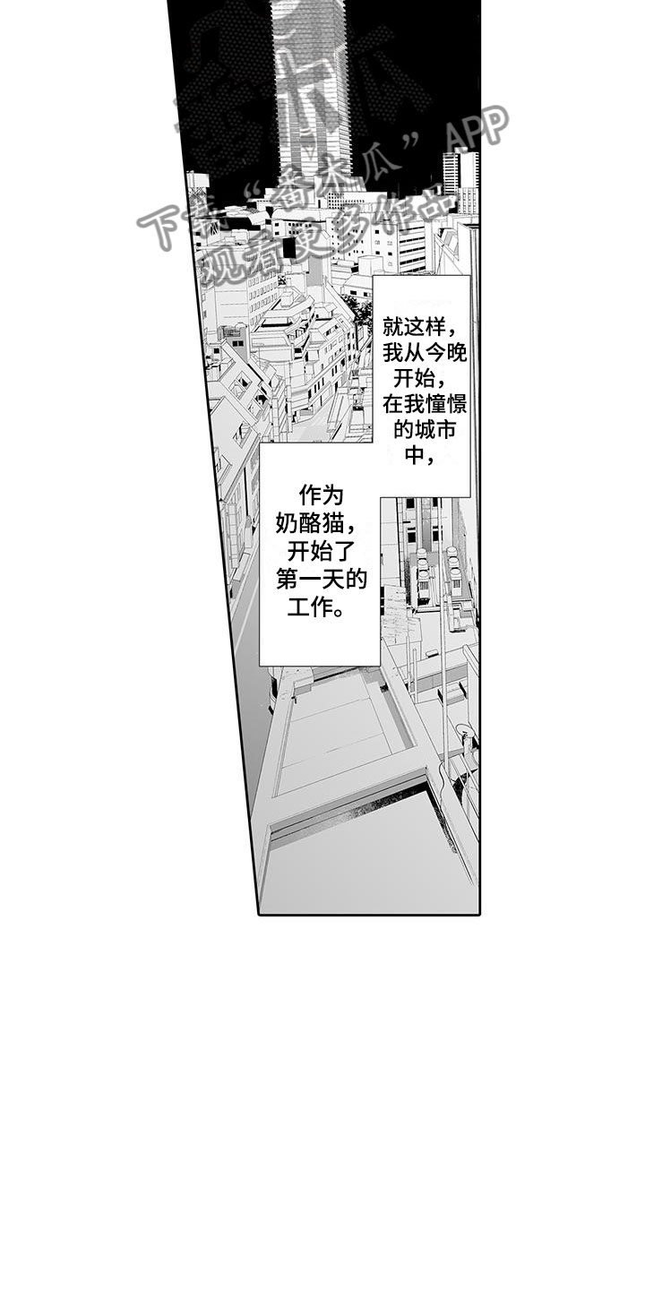 我的小奶猫漫画,第6章：奶酪猫5图