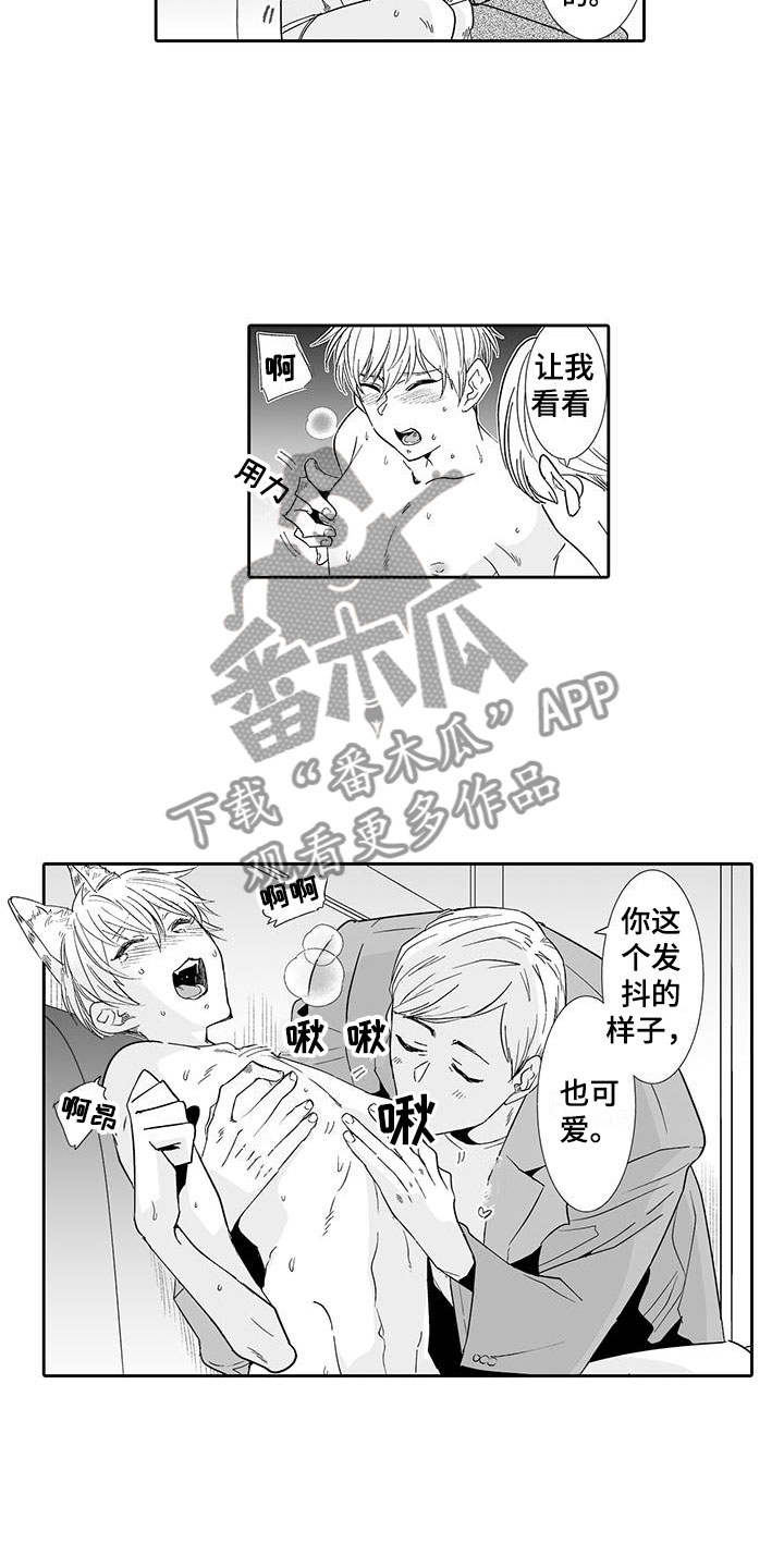 我的小奶猫漫画,第17章：指名2图