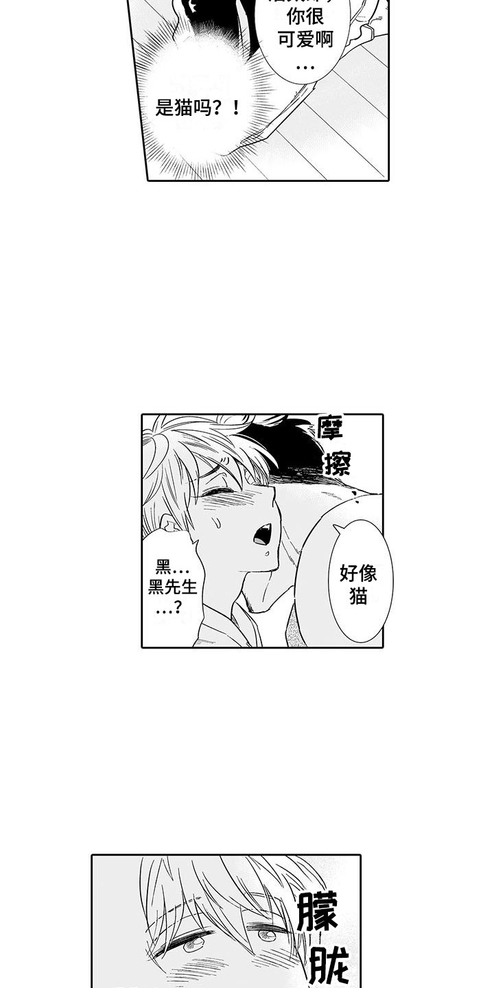 我的小奶猫漫画,第10章：醉了1图
