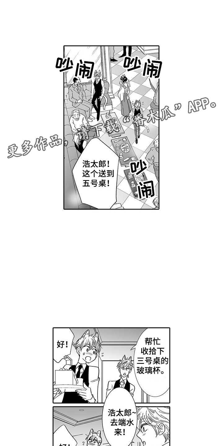 我的小奶猫漫画,第7章：营业表演1图