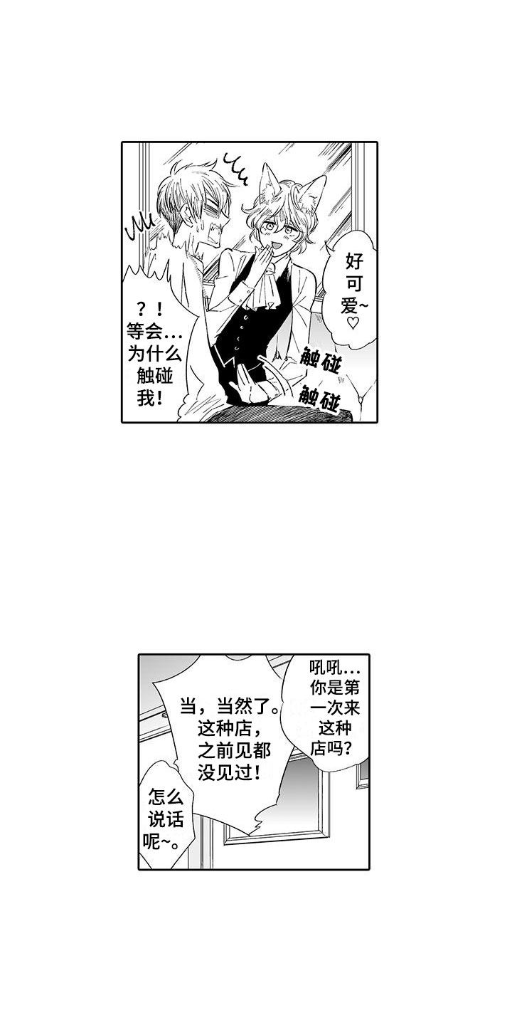 我的小奶猫漫画,第2章：猫咪咖啡屋5图