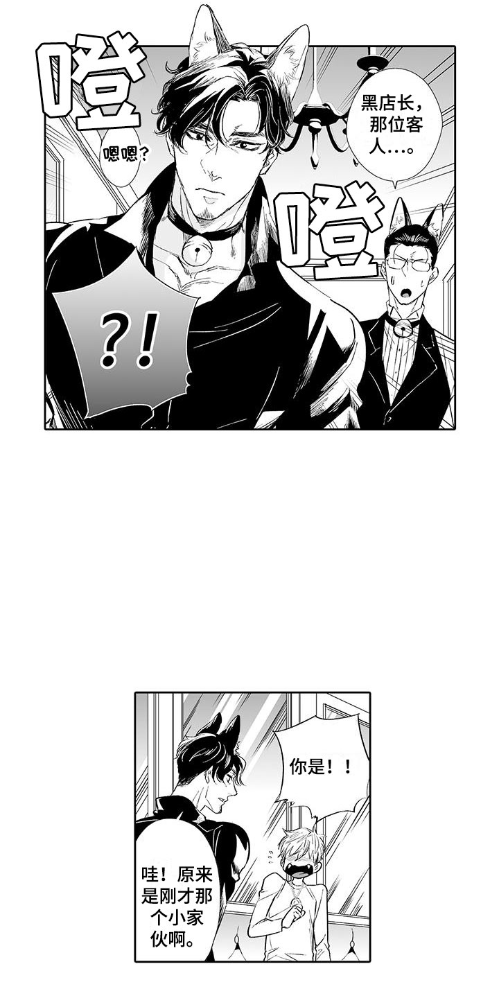 我的小奶猫漫画,第2章：猫咪咖啡屋2图