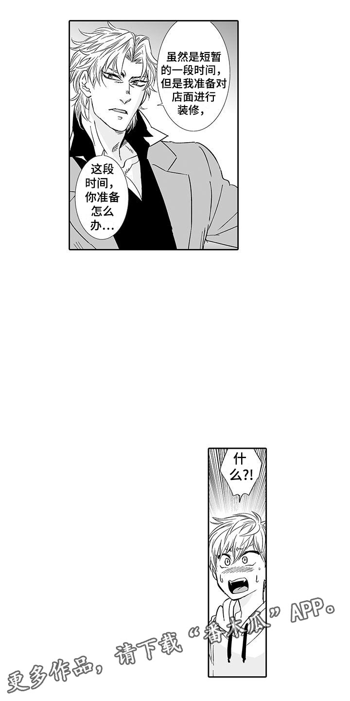 我的小奶猫漫画,第8章：老板来了1图