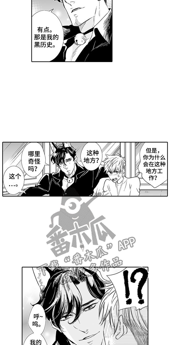 我的小奶猫漫画,第3章：来比比4图