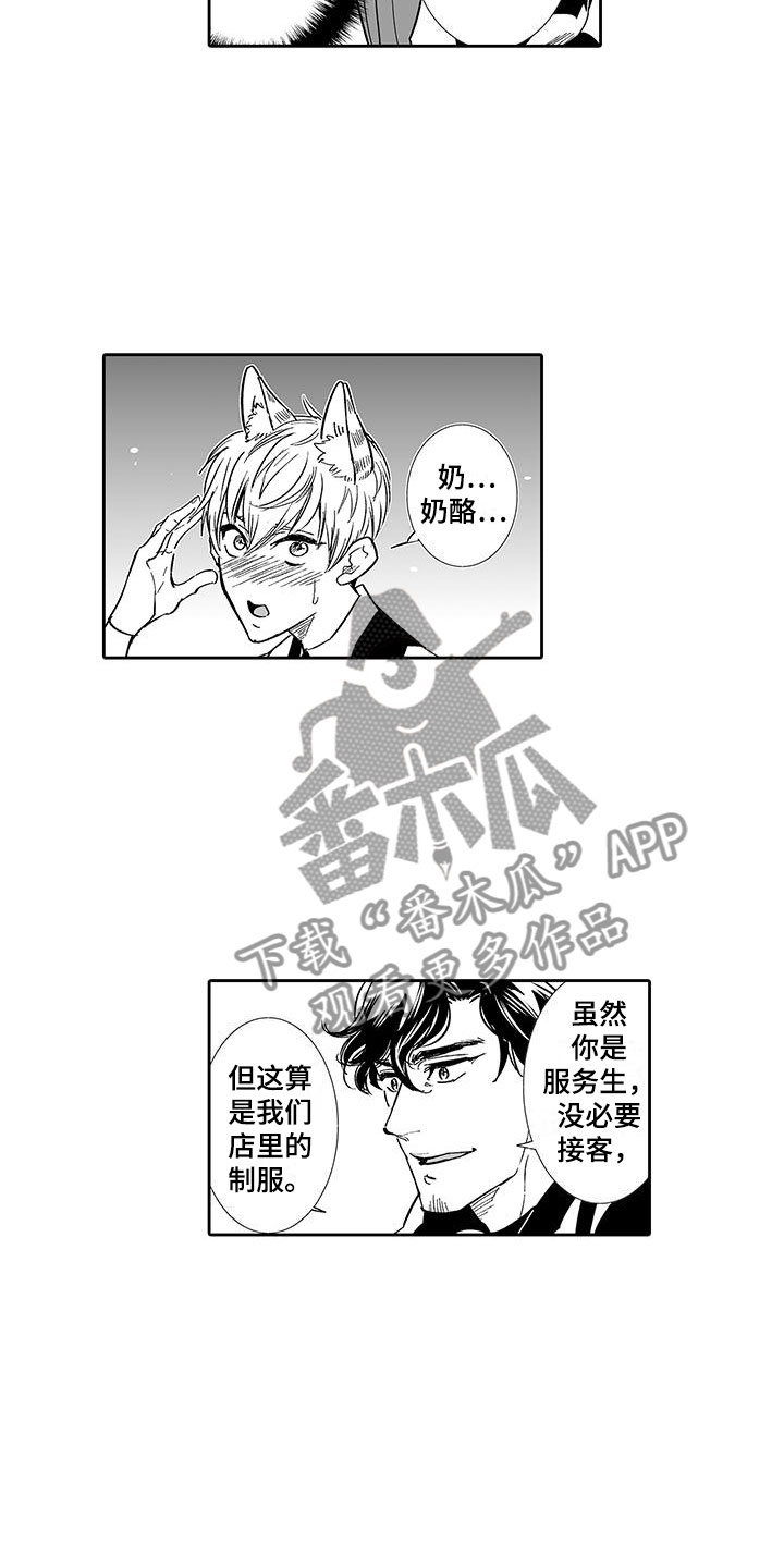我的小奶猫漫画,第6章：奶酪猫3图