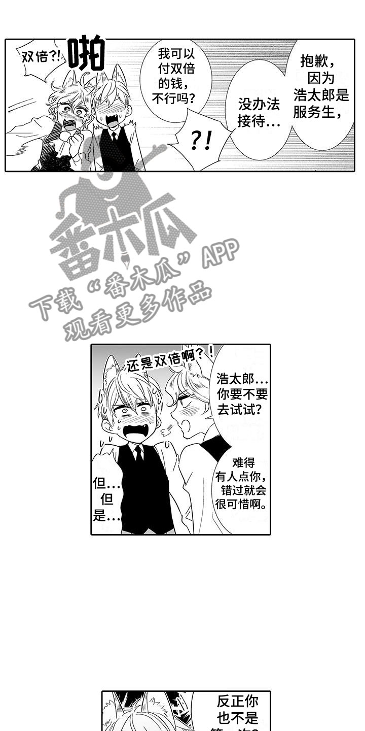 我的小奶猫漫画,第17章：指名1图