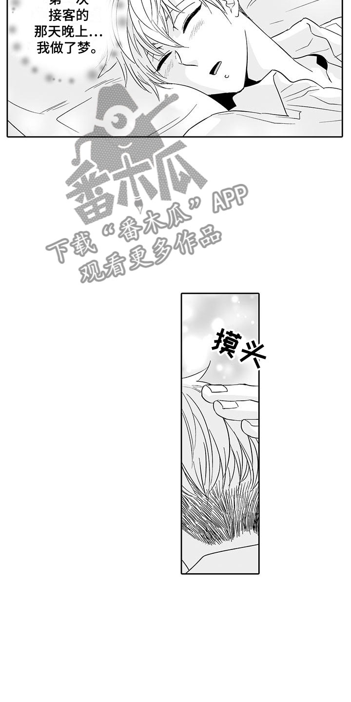 我的小奶猫漫画,第18章：背道而驰4图