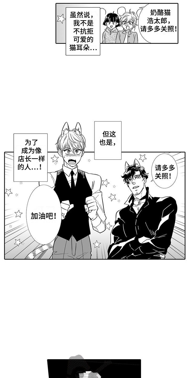 我的小奶猫漫画,第6章：奶酪猫4图