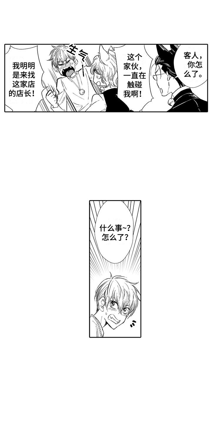 我的小奶猫漫画,第2章：猫咪咖啡屋1图