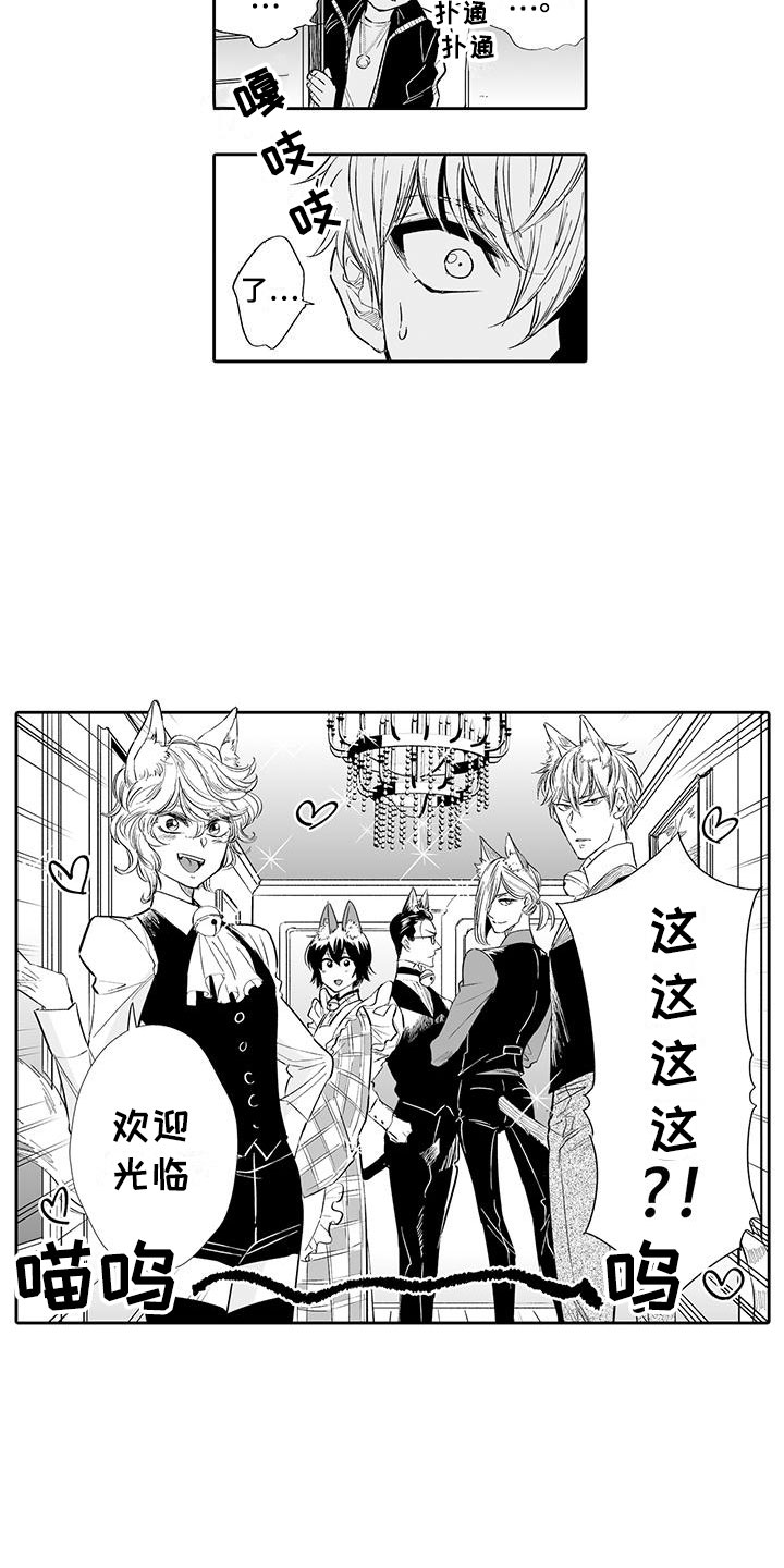 我的小奶猫漫画,第2章：猫咪咖啡屋2图