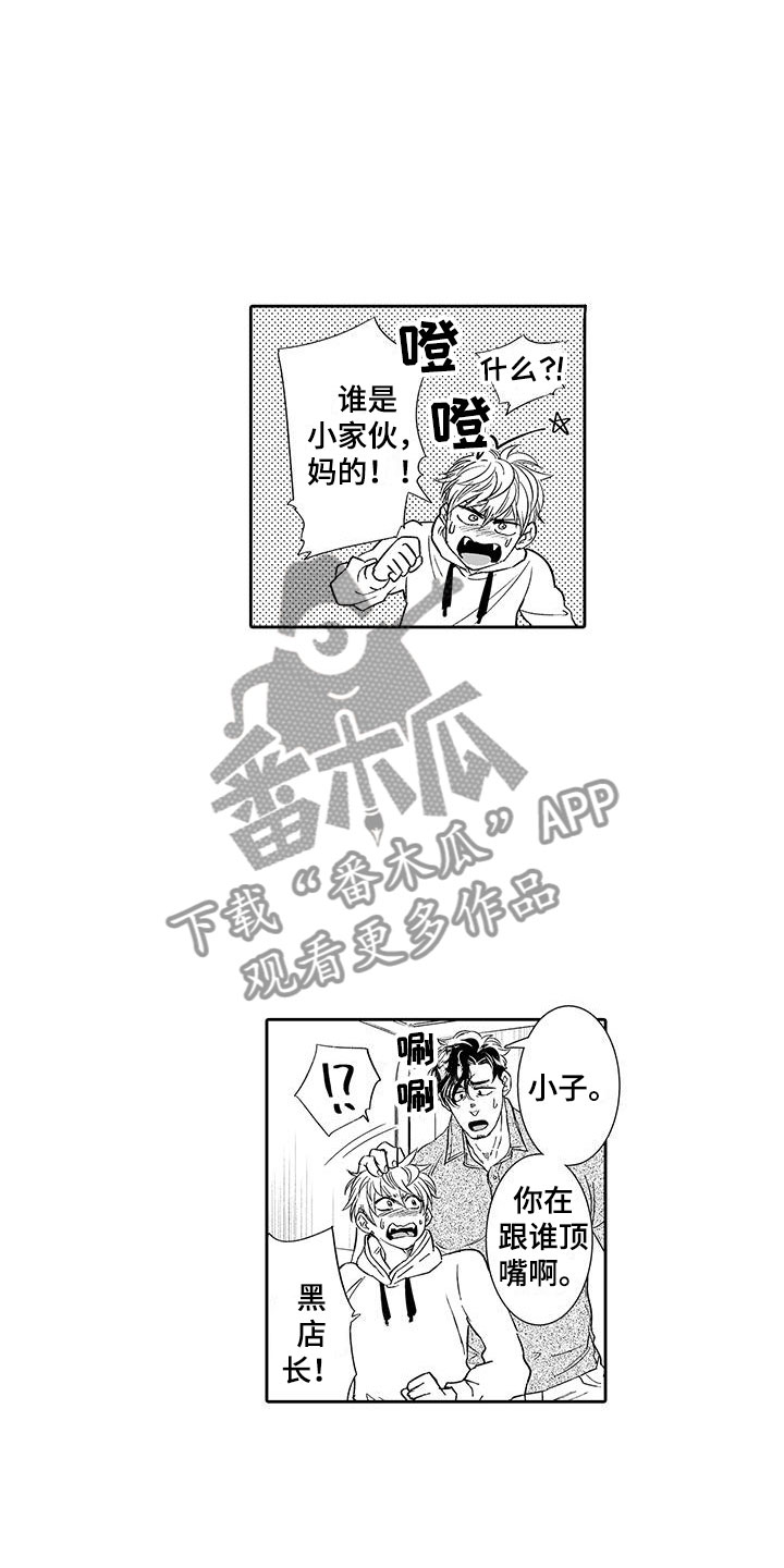 我的小奶猫漫画,第8章：老板来了4图