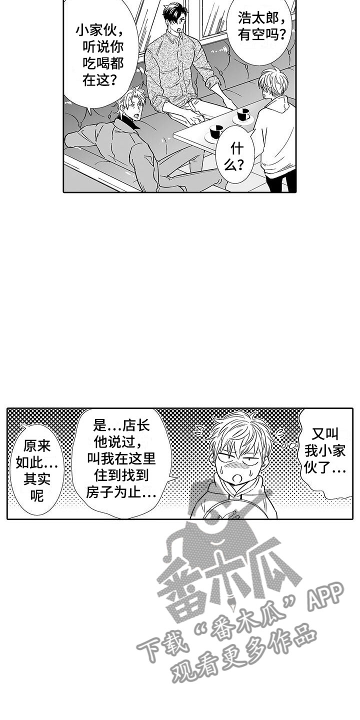 我的小奶猫漫画,第8章：老板来了5图