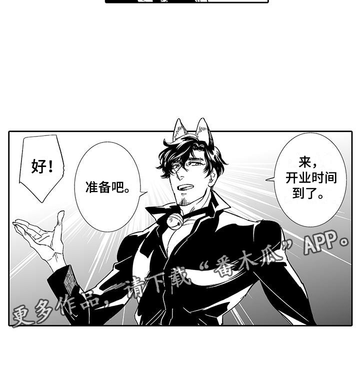 我的小奶猫漫画,第6章：奶酪猫4图