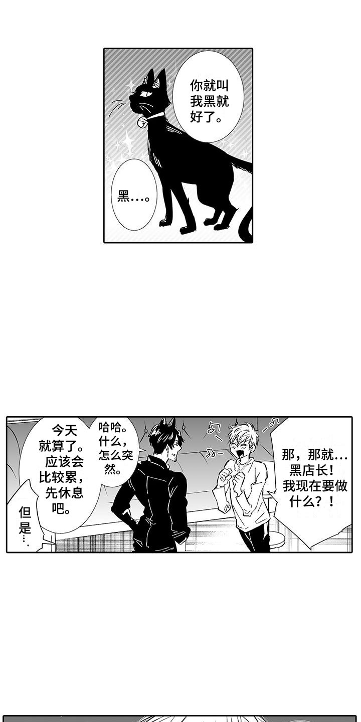 我的小奶猫漫画,第5章：一起逛街吧1图