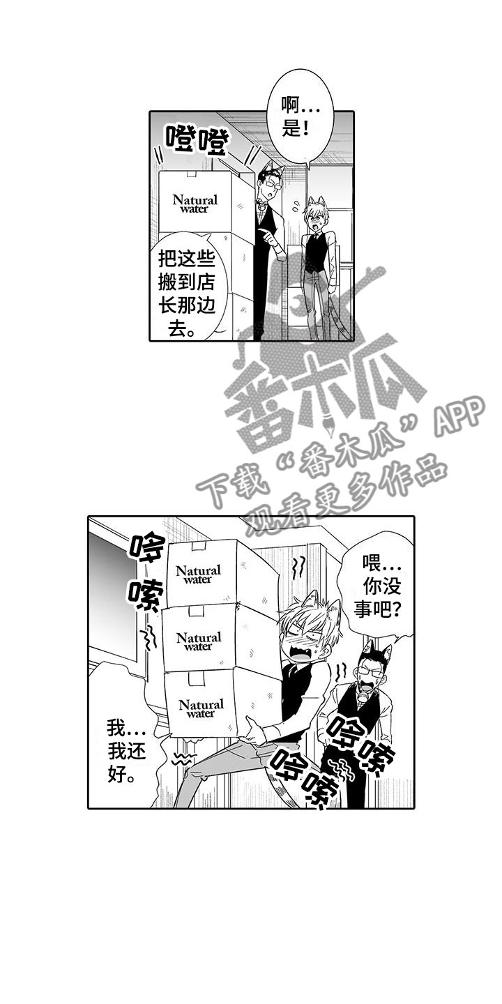 我的小奶猫漫画,第16章：态度大变4图