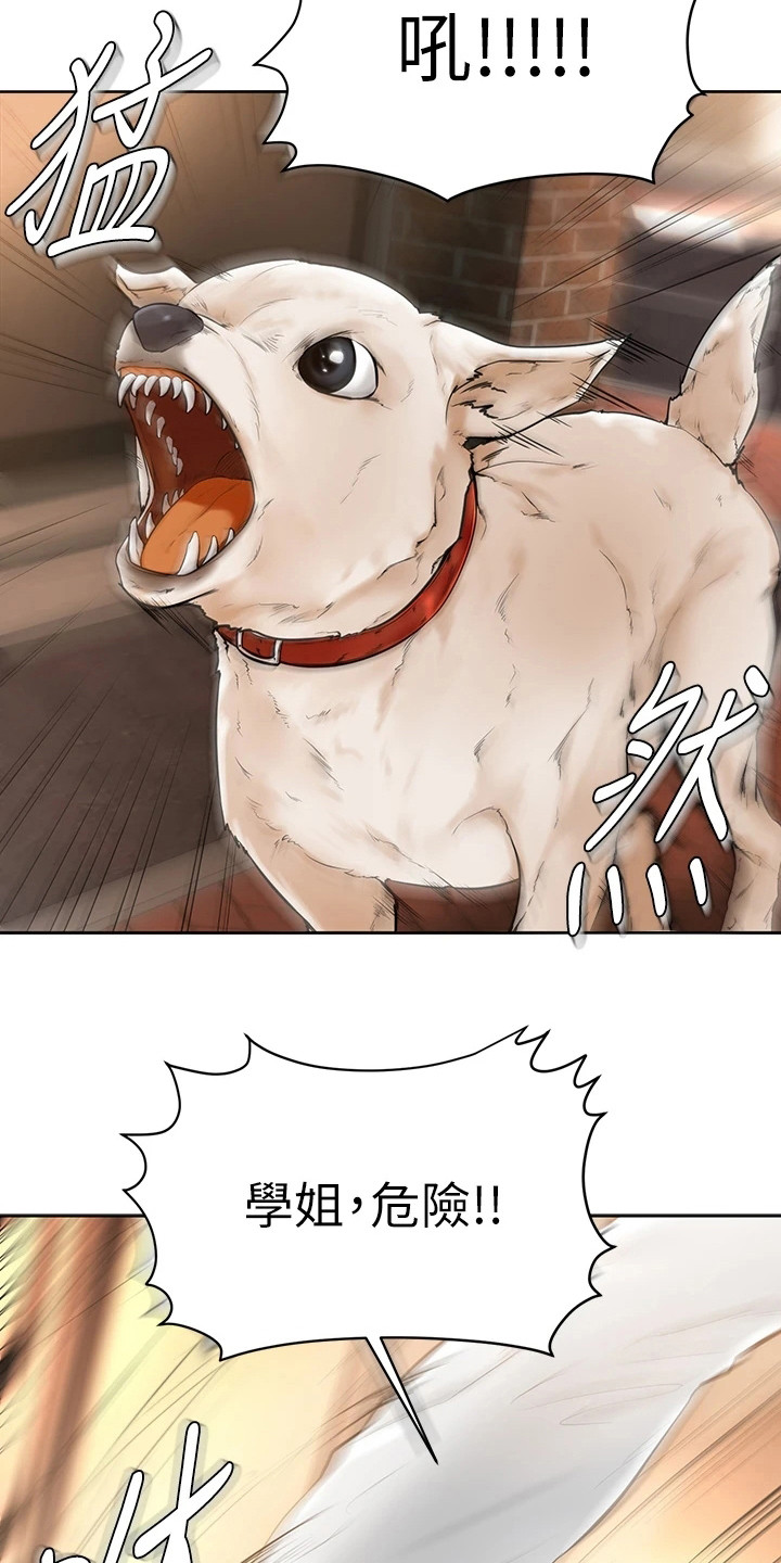 加油便宜的地方泰安漫画,第7章：被咬了4图