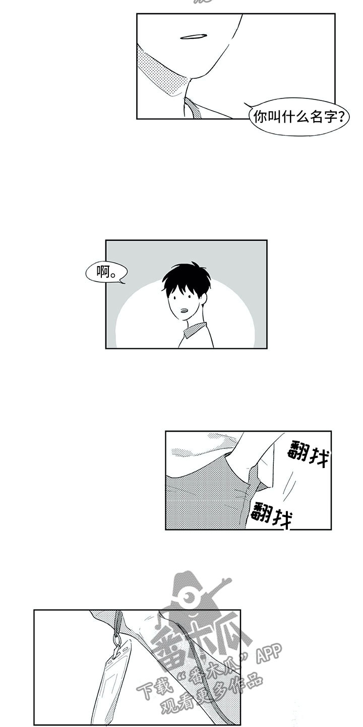相恋49日漫画,第33章：留下4图