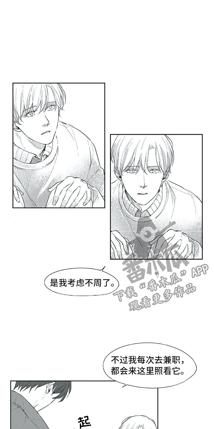 相恋49日漫画,第19章：心乱5图