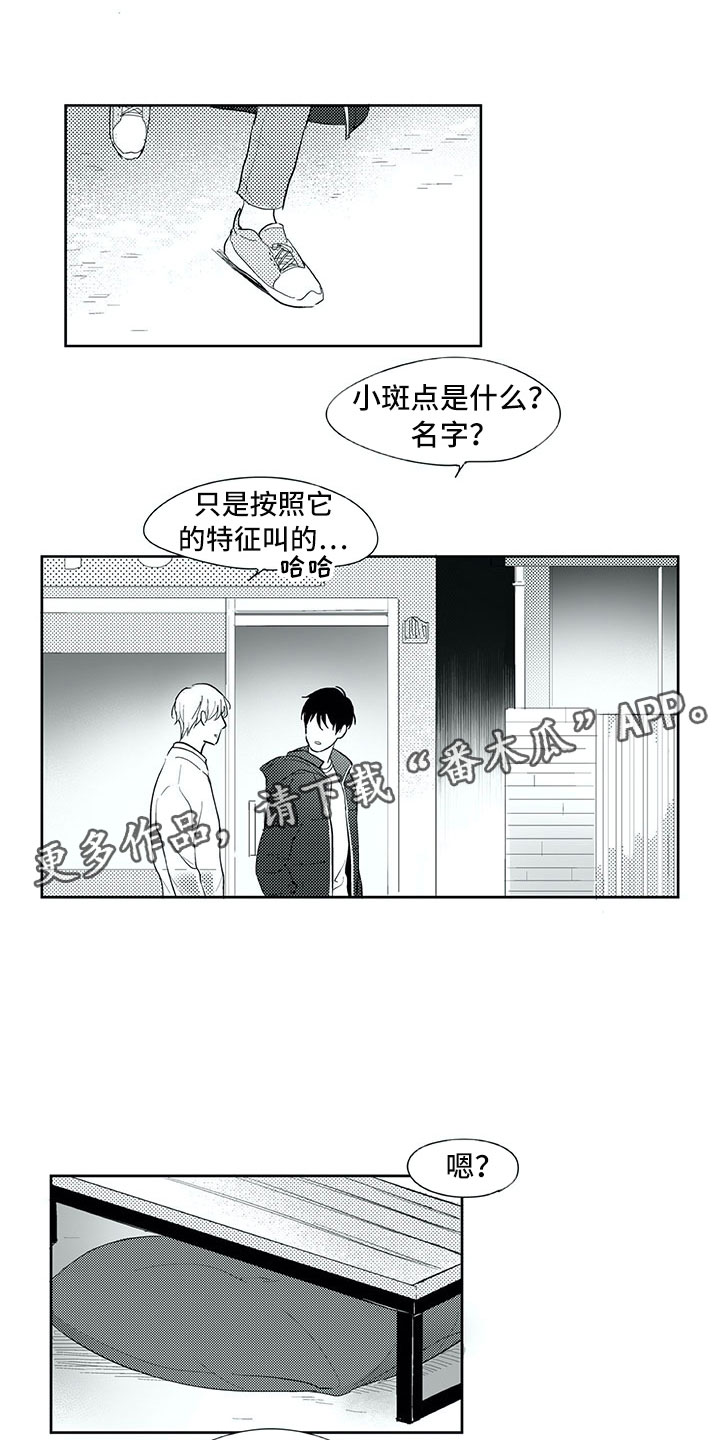 相恋49日漫画,第24章：笑容5图