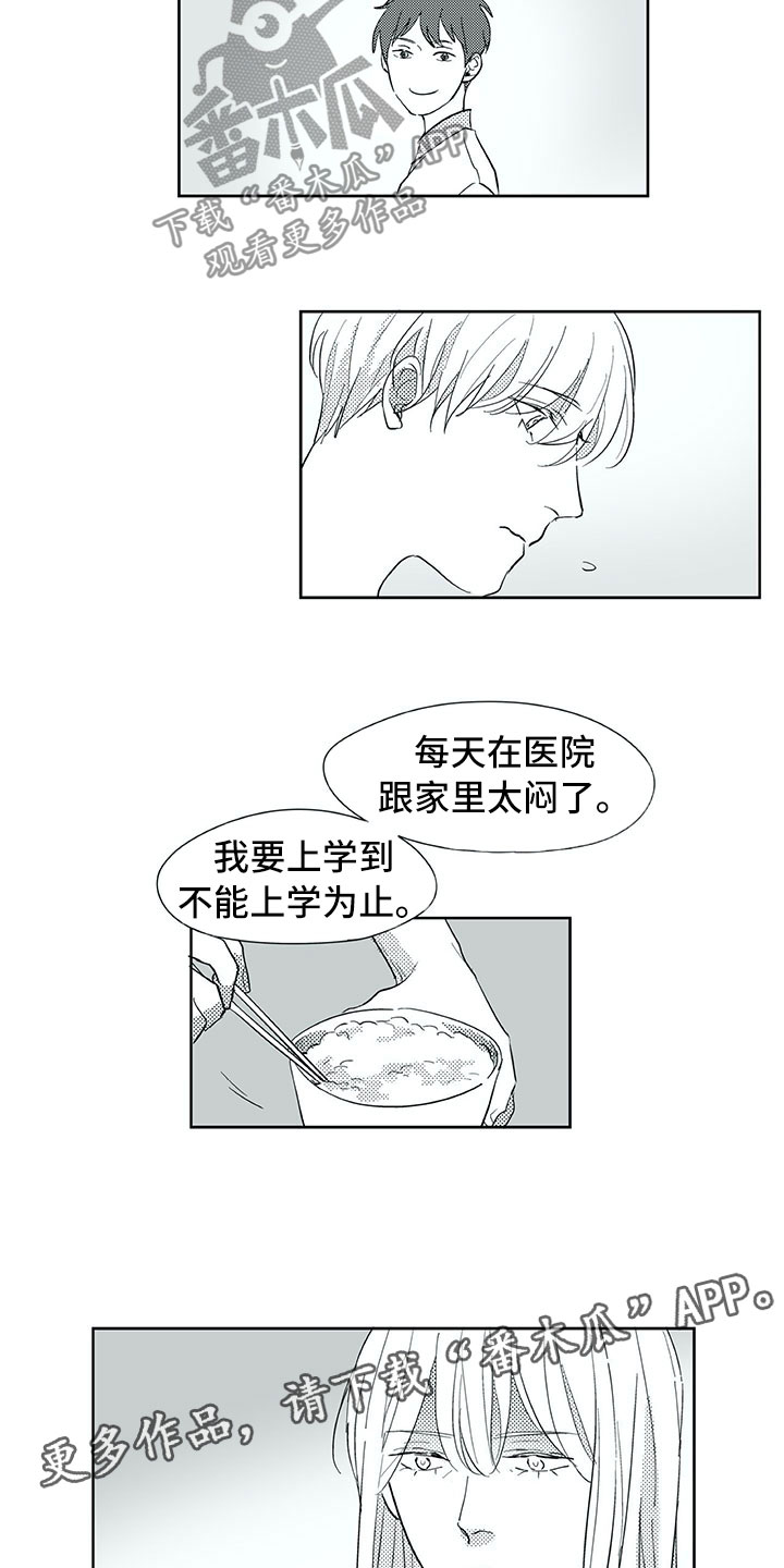 相恋49日漫画,第33章：留下1图