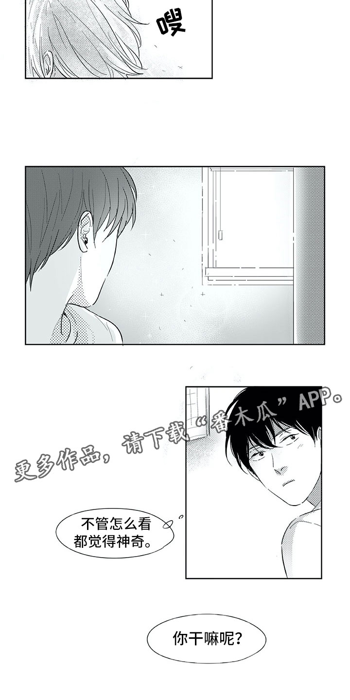 相恋49日漫画,第26章：唠叨1图