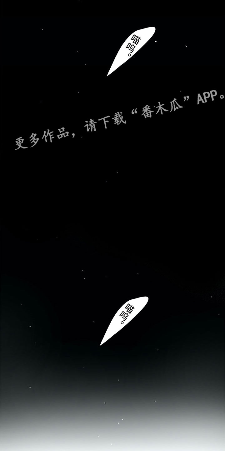 相恋49日漫画,第18章：猫咪2图