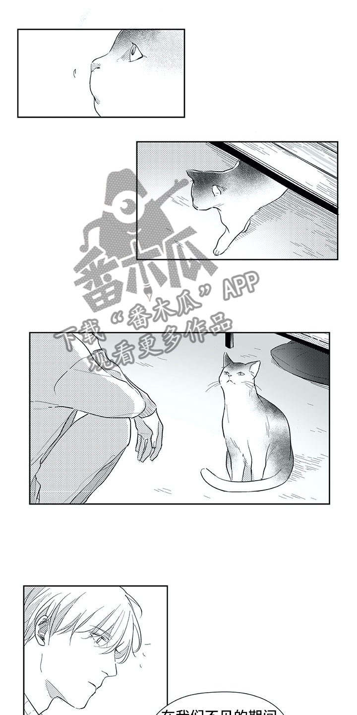 相恋49日漫画,第29章：时间1图