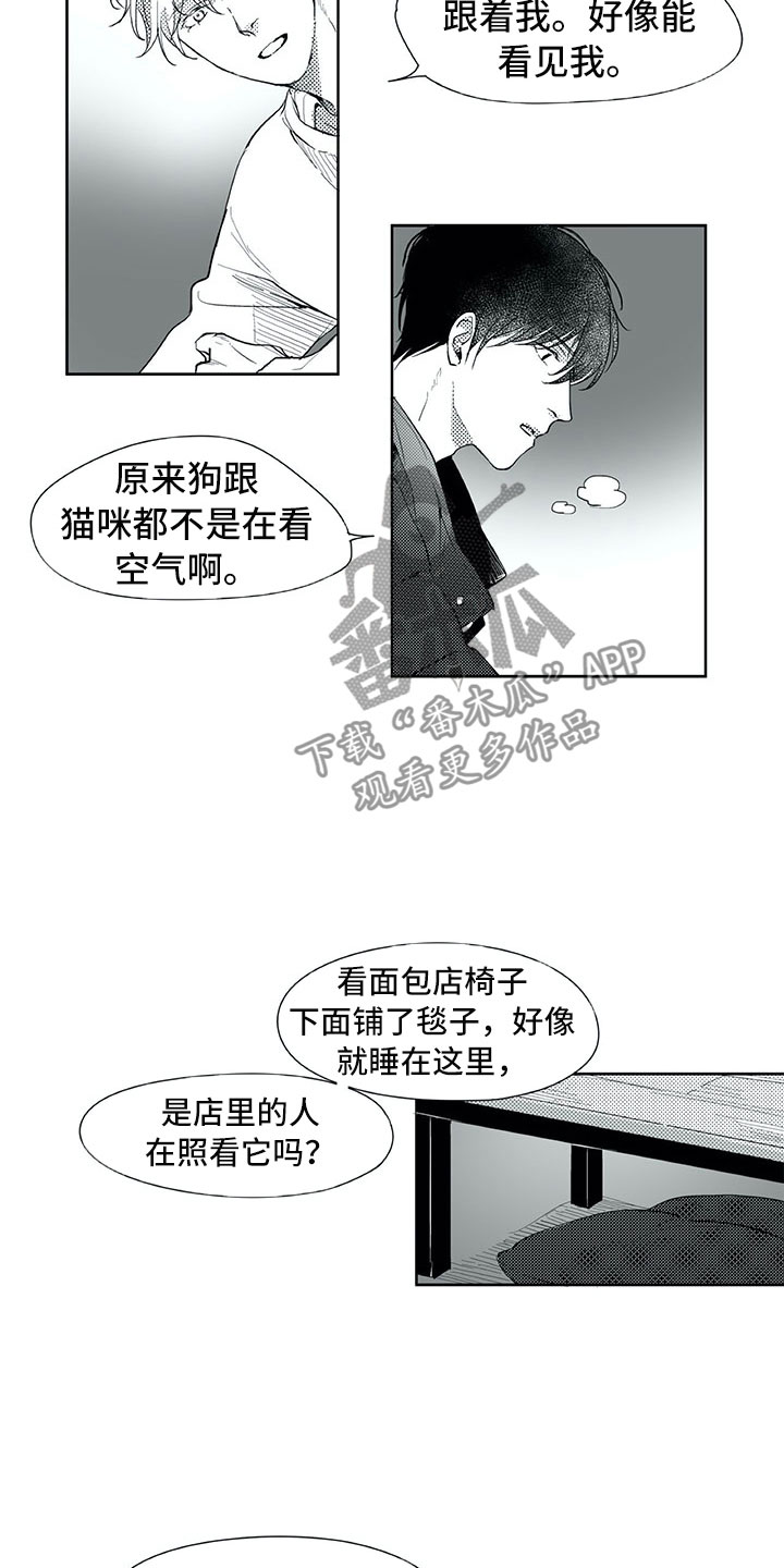 相恋49日漫画,第18章：猫咪1图