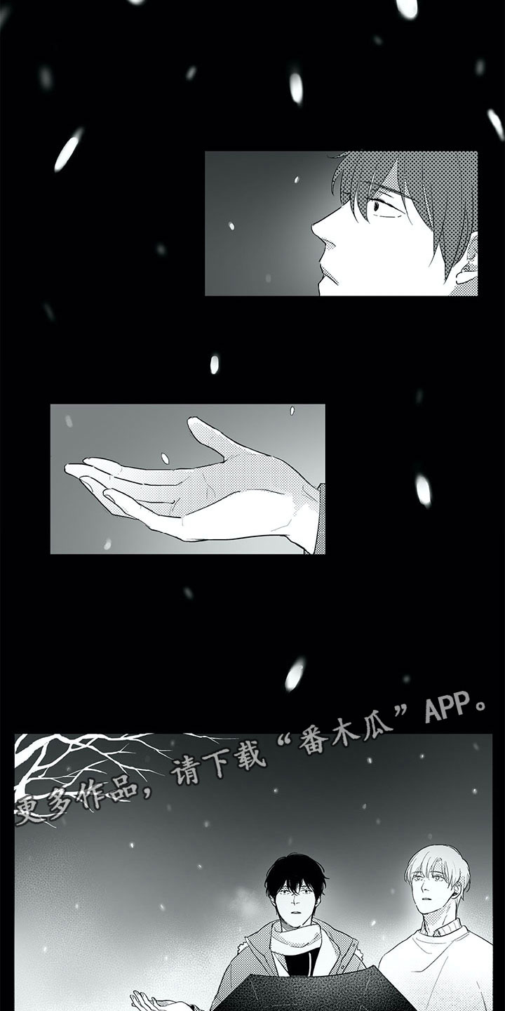 相恋49日漫画,第23章：白色圣诞节4图