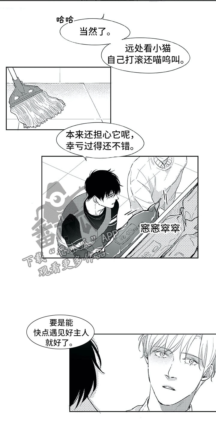 相恋49日漫画,第19章：心乱1图